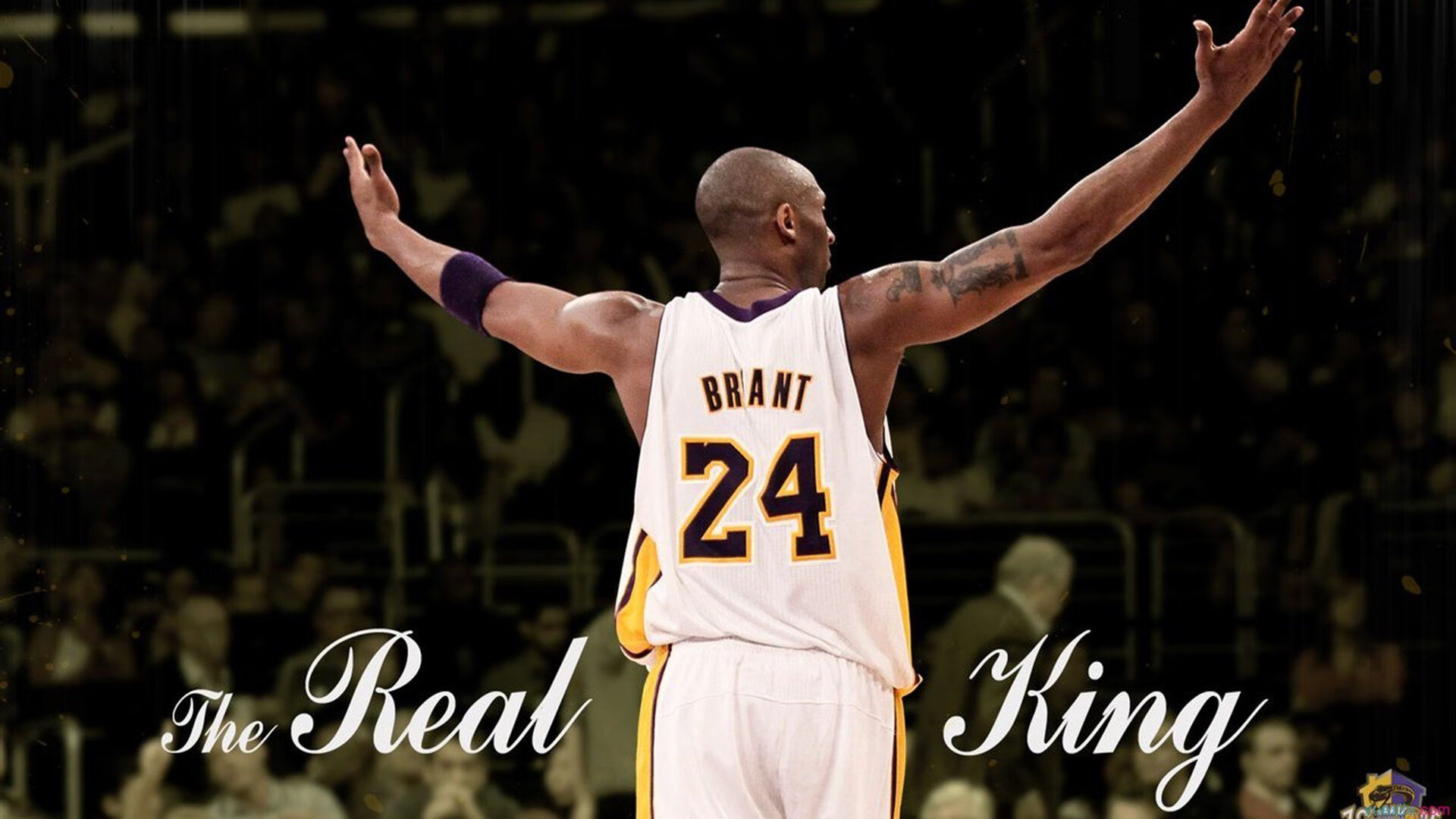 “腰旗美式橄榄球:新兴运动掀起激烈对决”