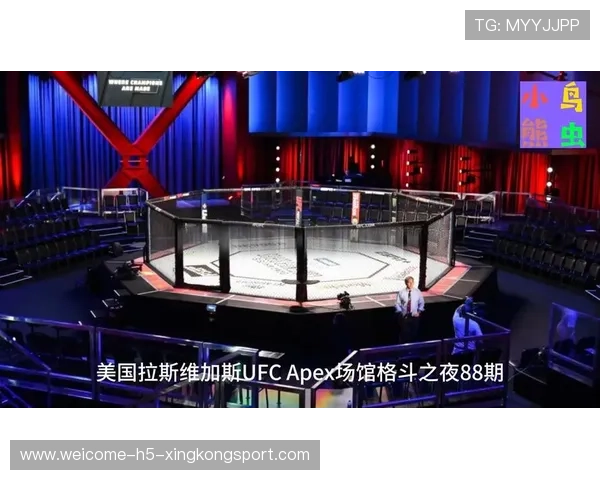 格斗UFC：顶尖对决燃爆擂台，让人目不暇接！，顶级ufc比赛