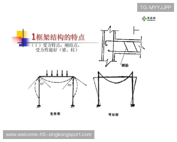 体系稳定📊输出可靠