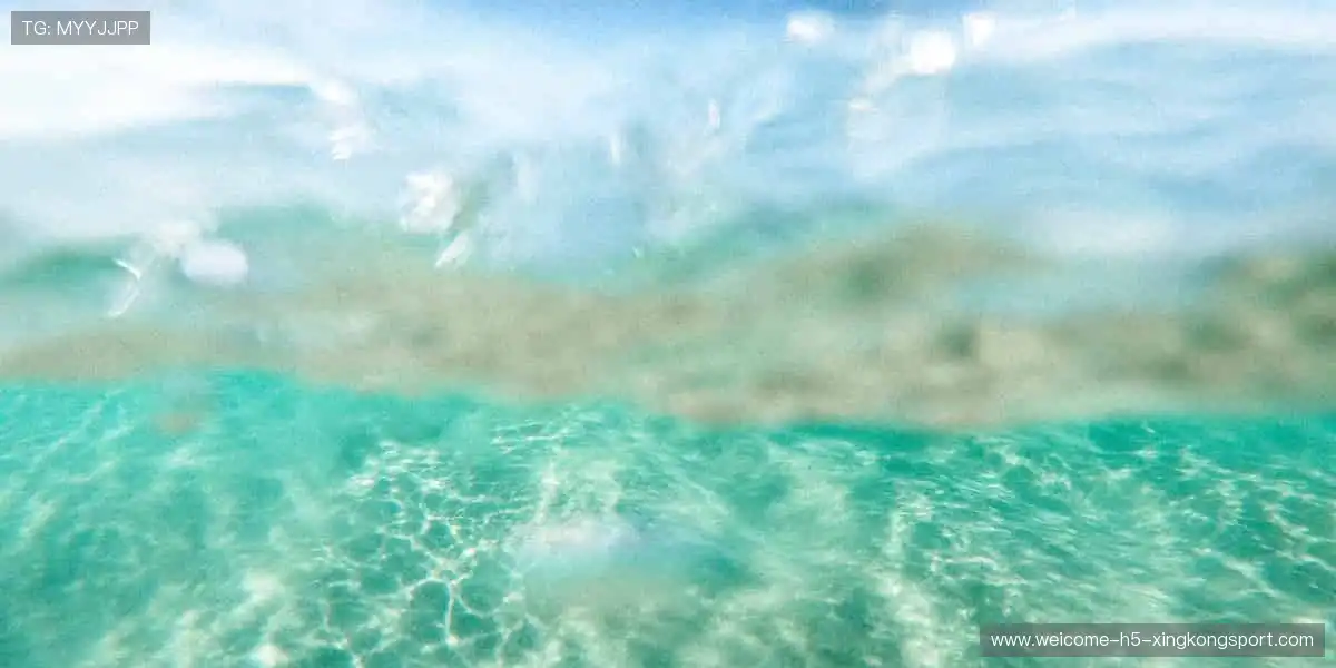 🌍全球赛事，与你同频心跳！🌟